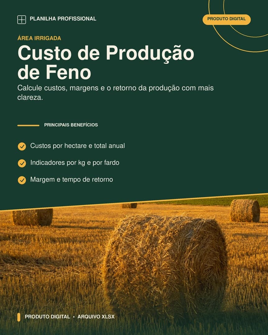 Imagem do leilão Leilão teste