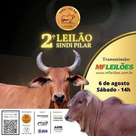 Imagem do leilão 5° LEILÃO SINDI PILAR