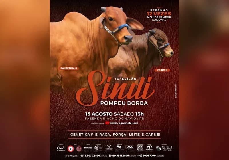 13º Leilão Sindi Pompeu Borba
