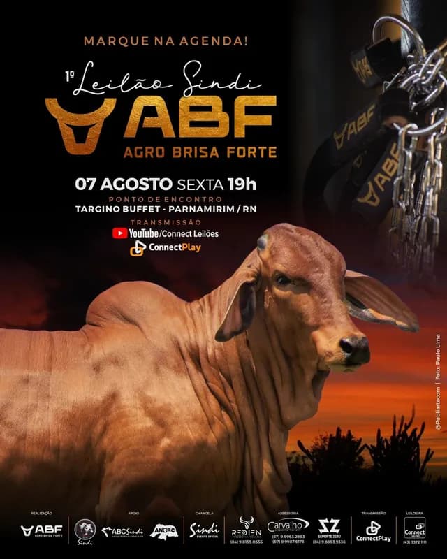 Leilão Agro Brisa Forte