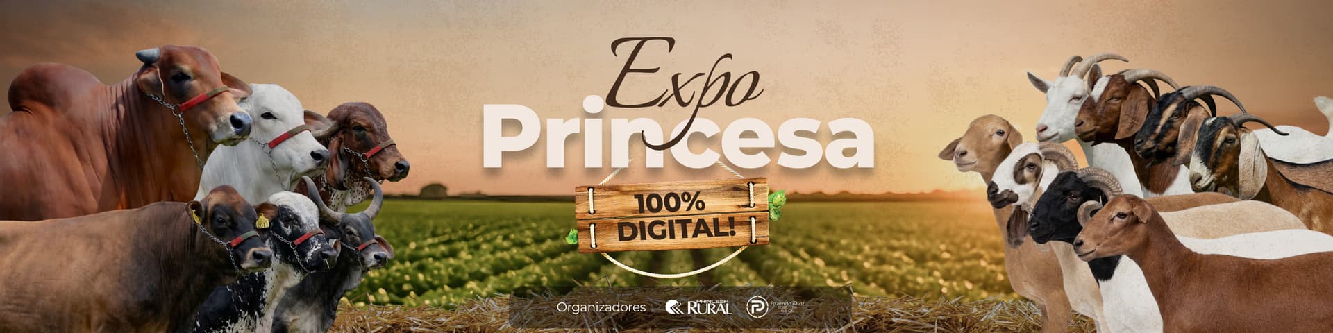 Banner ExpoPrincesa