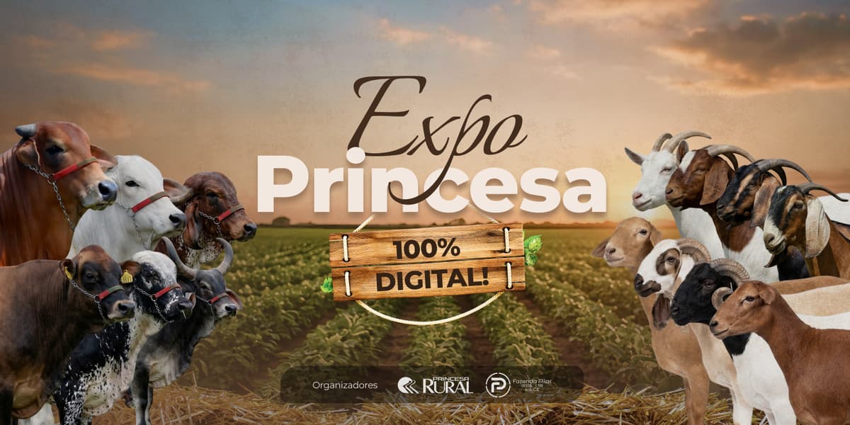 Banner ExpoPrincesa