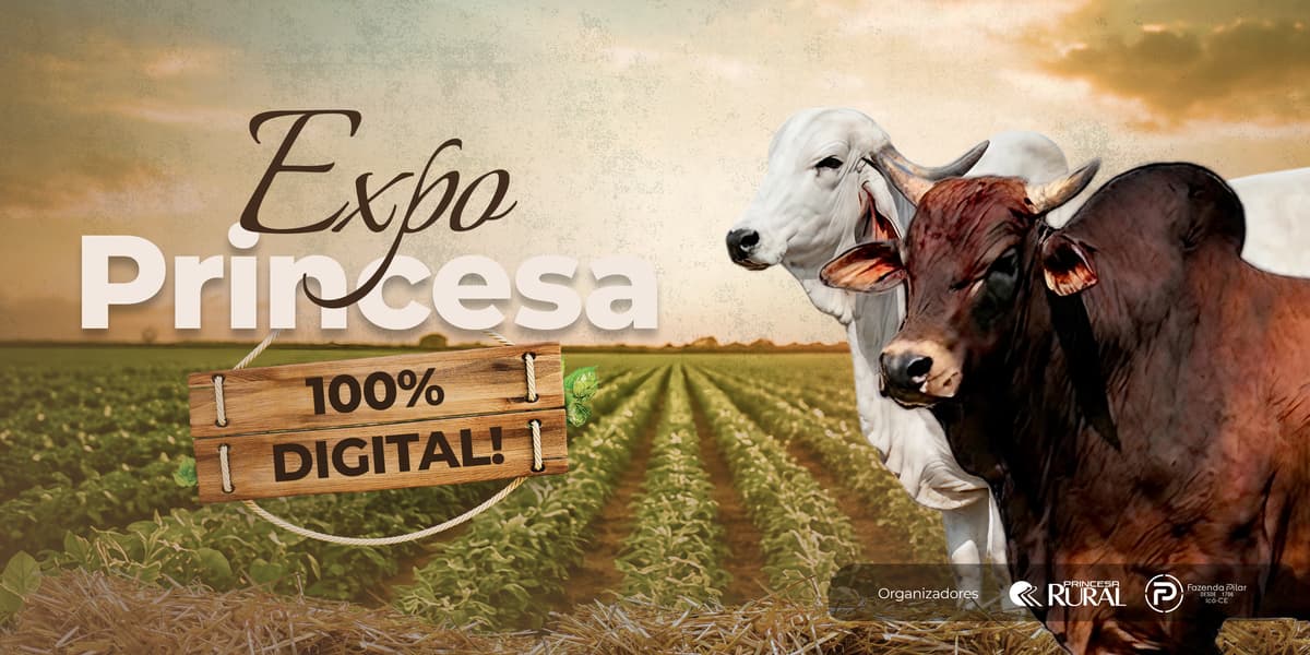 Banner Princesa Rural