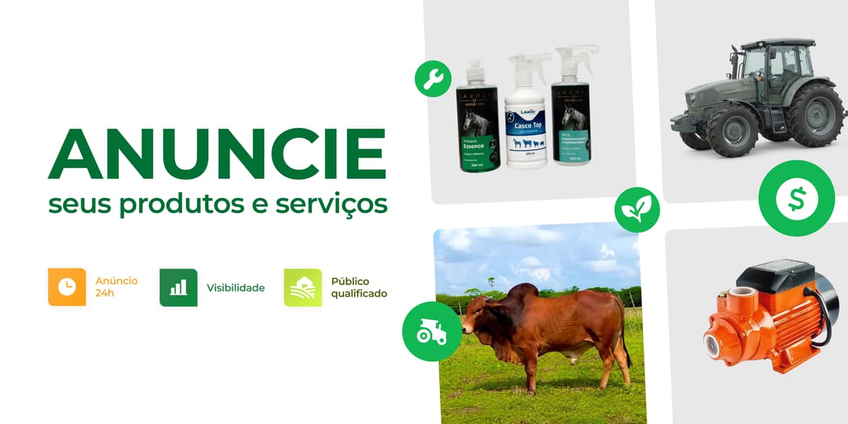 Banner Princesa Rural