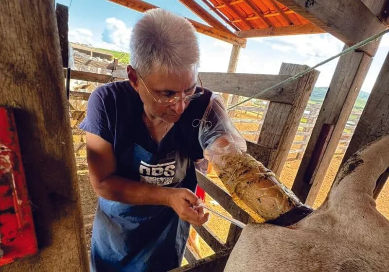 Soluções em Reprodução Bovina
