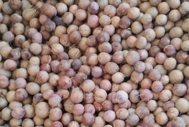 Açaí seco higienizado ensacado – com fibras ou sem casca (biomassa) - Miniatura 5