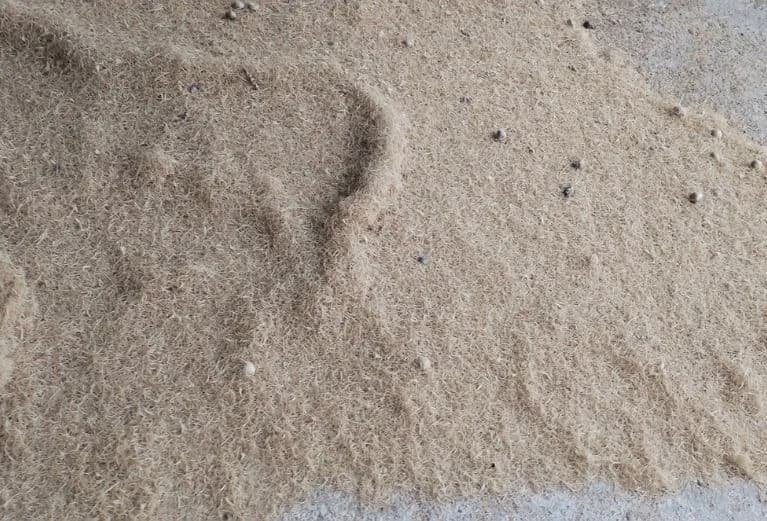 Açaí seco higienizado ensacado – com fibras ou sem casca (biomassa) - Miniatura 8