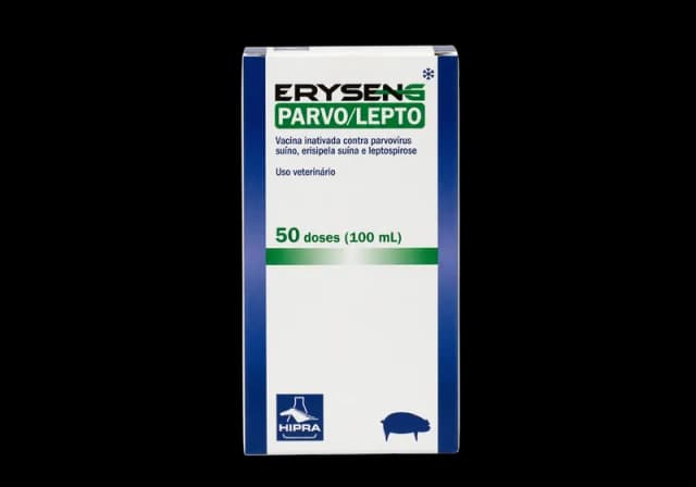 ERYSENG PARVO LEPTO BR 50 DS
