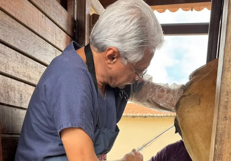 Soluções em Reprodução Bovina - Miniatura 2
