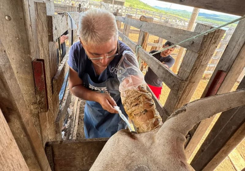 Soluções em Reprodução Bovina - Miniatura 3