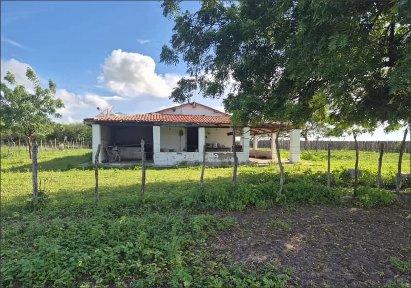 Fazenda Bem localizada— 470 Hectares com Outorga de Água 
