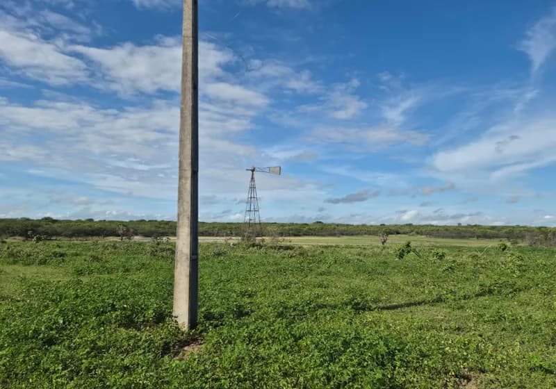 Fazenda Bem localizada— 470 Hectares com Outorga de Água  - Miniatura 2