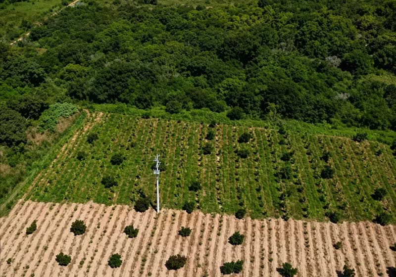 Terreno à venda no Sítio Santa Tereza – São Benedito/CE - Miniatura 5