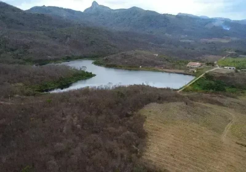 Excelente Propriedade Rural à Venda - Região Serrana do Ceará, com 335 hectares - Miniatura 6