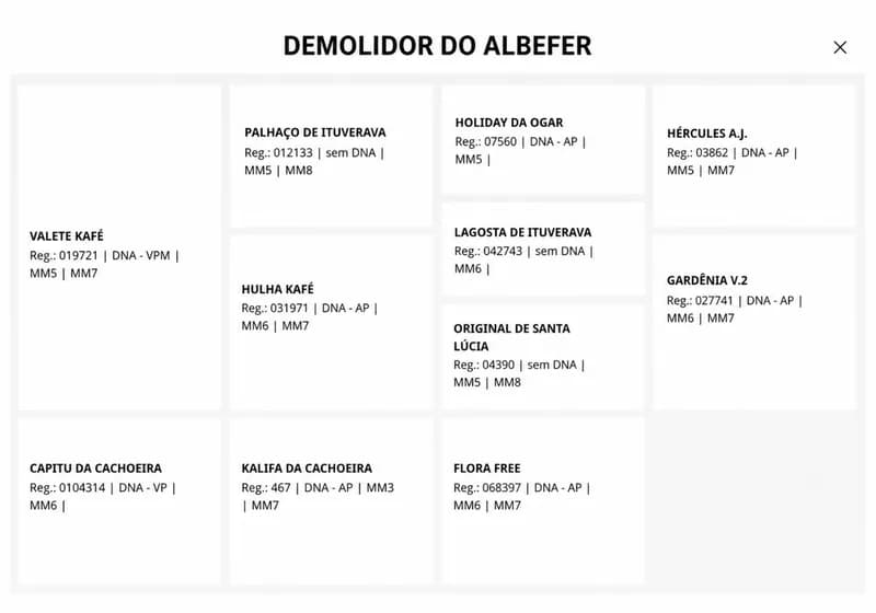 Demolidor do Albefer – Cavalo de Sela Registrado - Miniatura 3
