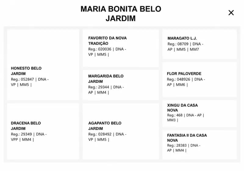 Maria Bonita Belo Jardim – Fêmea MM6 Definitivo Fechado - Miniatura 3