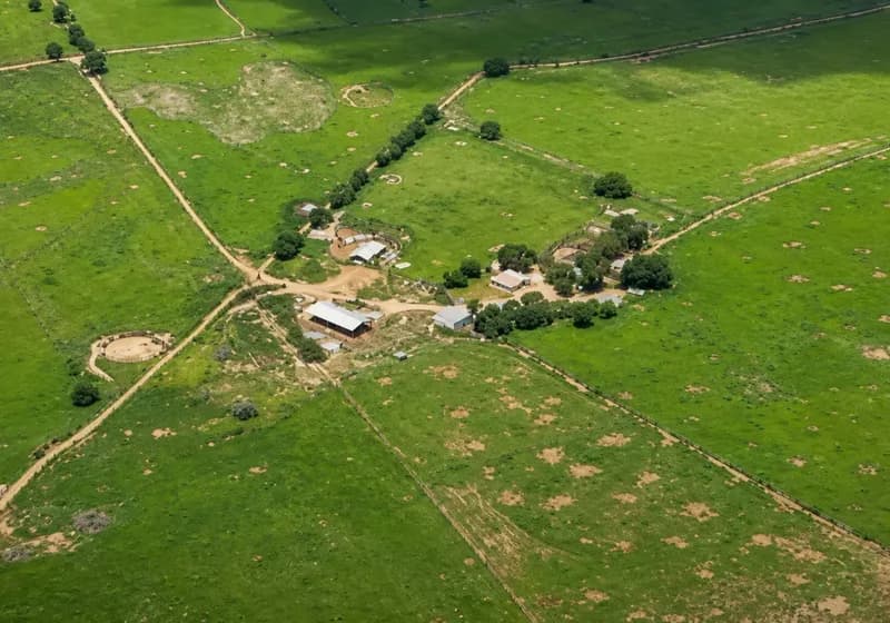 FAZENDA CAMPO VERDE – SÃO DOMINGOS DO MARANHÃO/MA - Miniatura 3