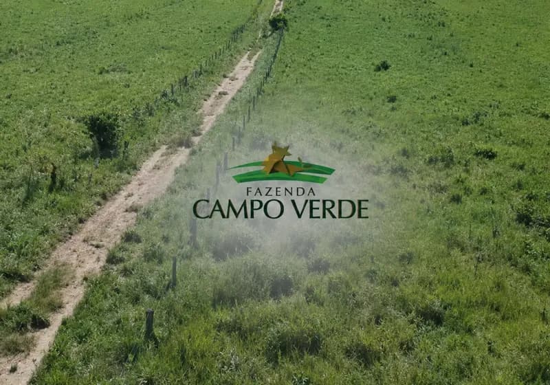 FAZENDA CAMPO VERDE – SÃO DOMINGOS DO MARANHÃO/MA - Miniatura 11