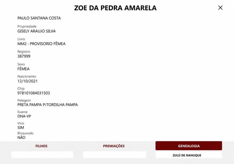 Zoe da pedra Amarela - Miniatura 3