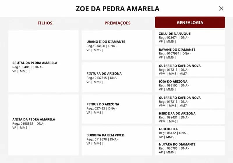 Zoe da pedra Amarela - Miniatura 4
