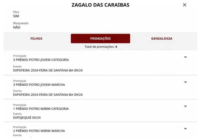 Zagalo das Caraíbas - Miniatura 6
