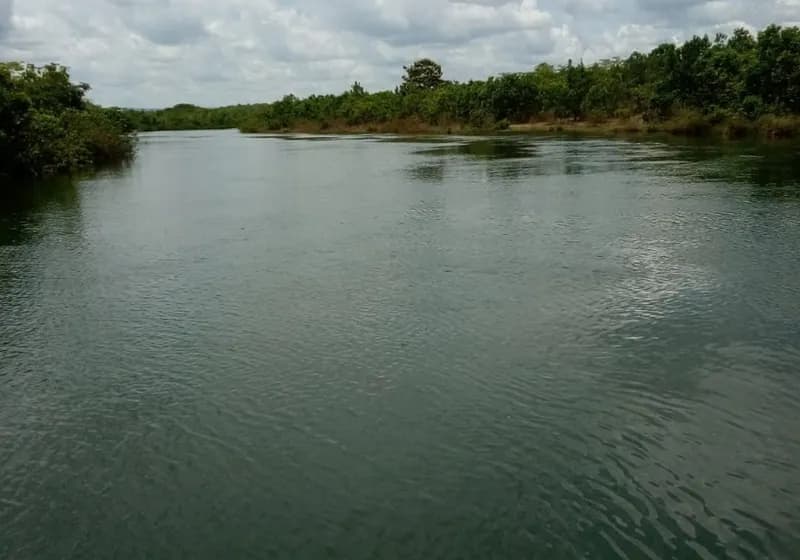 500 Alqueires em Dianópolis Tocantins - Imagem 1
