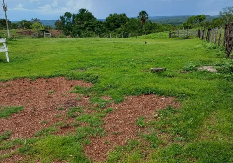 500 Alqueires em Dianópolis Tocantins - Miniatura 7