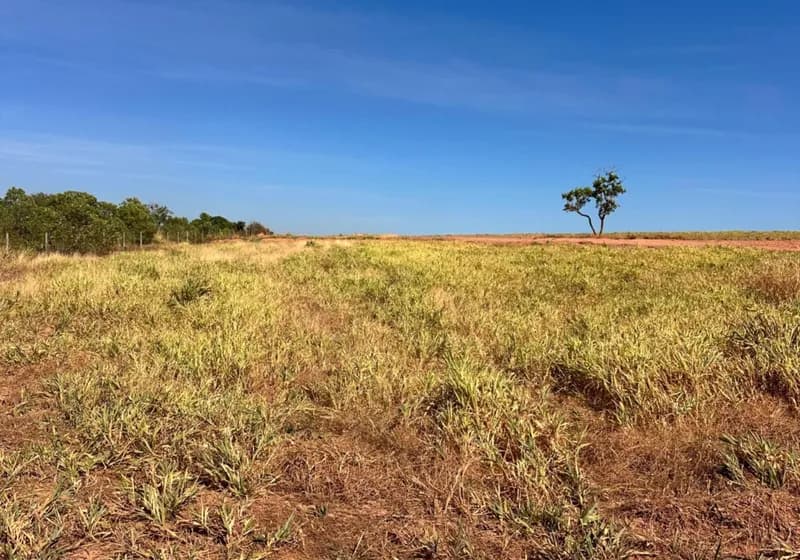 Fazenda de 397 Alqueires em Novo Acordo - TO - Miniatura 5