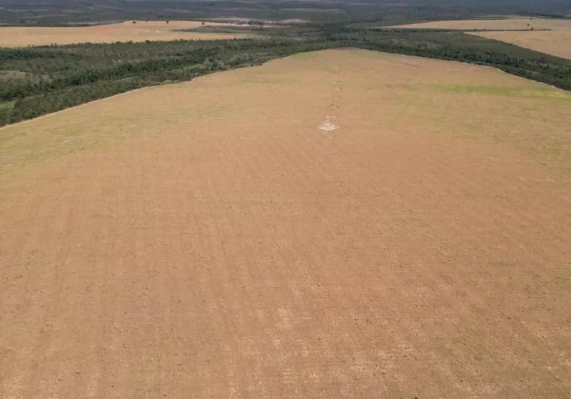 Fazenda de 397 Alqueires em Novo Acordo - TO - Miniatura 9
