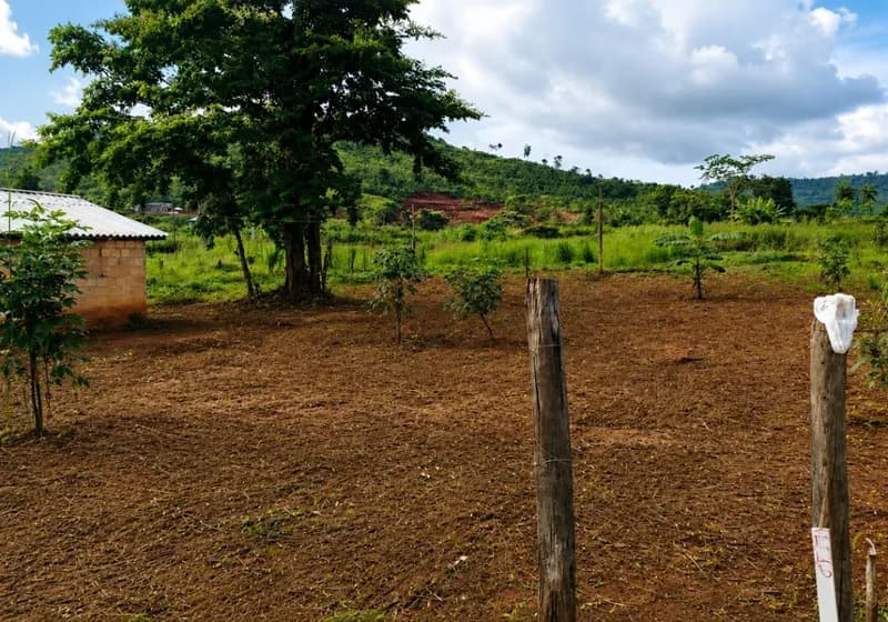 Chácara com pequena casa construida à Venda - Imagem 1