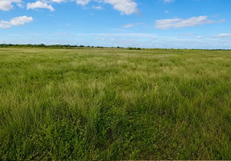 Lote de 3,5 hectares com energia e poço em Limoeiro do Norte-CE - Imagem 1