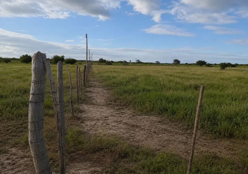 Lote de 3,5 hectares com energia e poço em Limoeiro do Norte-CE - Miniatura 7