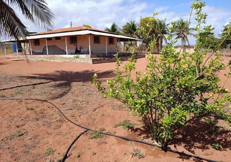 Propriedade Rural a Beira-Mar em Areia Branca - RN - Miniatura 2