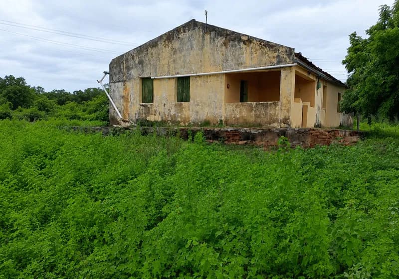 Propriedade Rural - Sitio Cachoeira - Miniatura 3