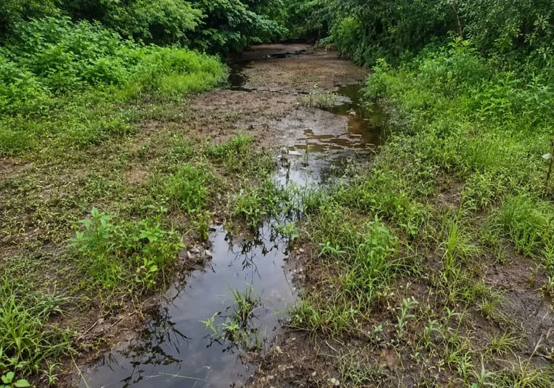 Propriedade Rural - Sitio Cachoeira - Miniatura 6