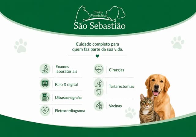 Atendimento Veterinário, Exames e Cirurgias