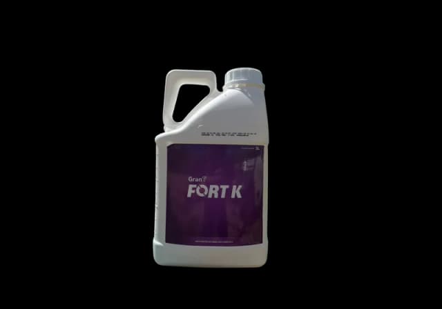 Fort K