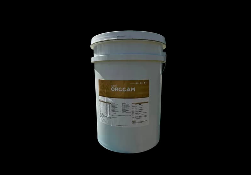 Orggam