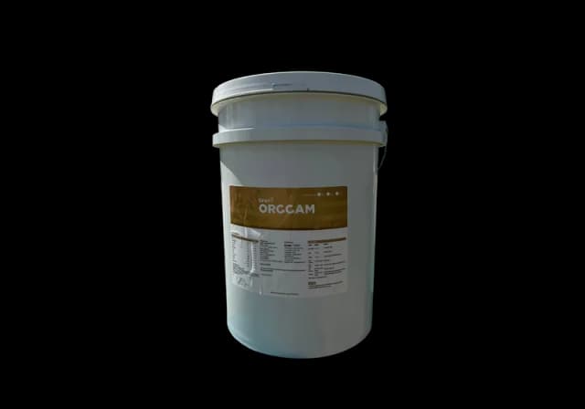 Orggam