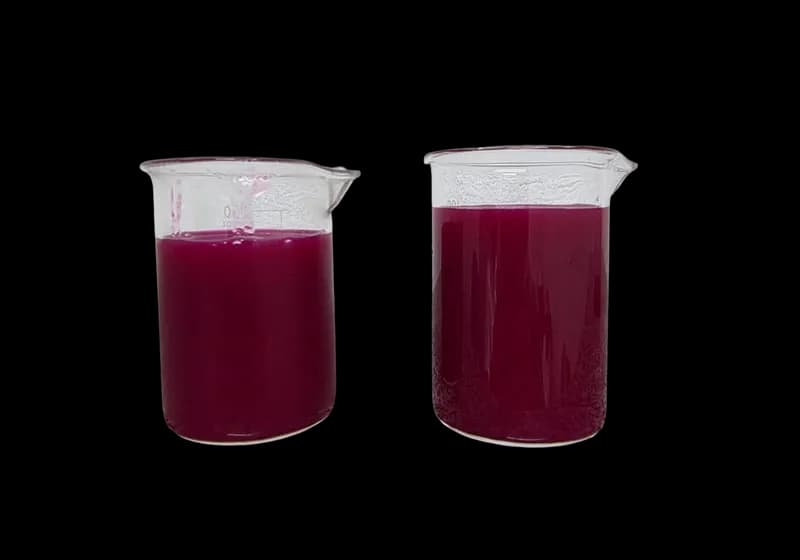 Polpa de Pitaya Pasteurizada sem Sementes - Miniatura 2