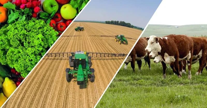 Fortalecimento do agro regional