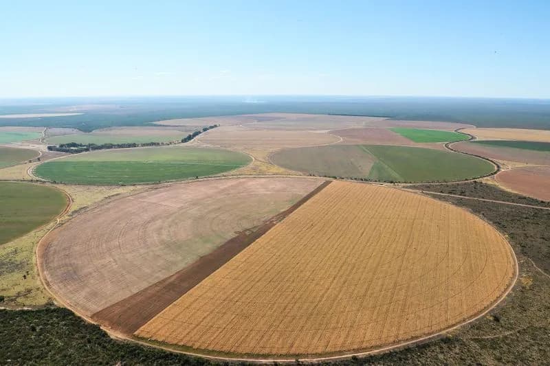Novidade: Princesa Rural lança plataforma para compras e vendas no agronegócio