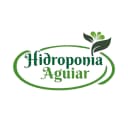 Hidroponia Aguiar