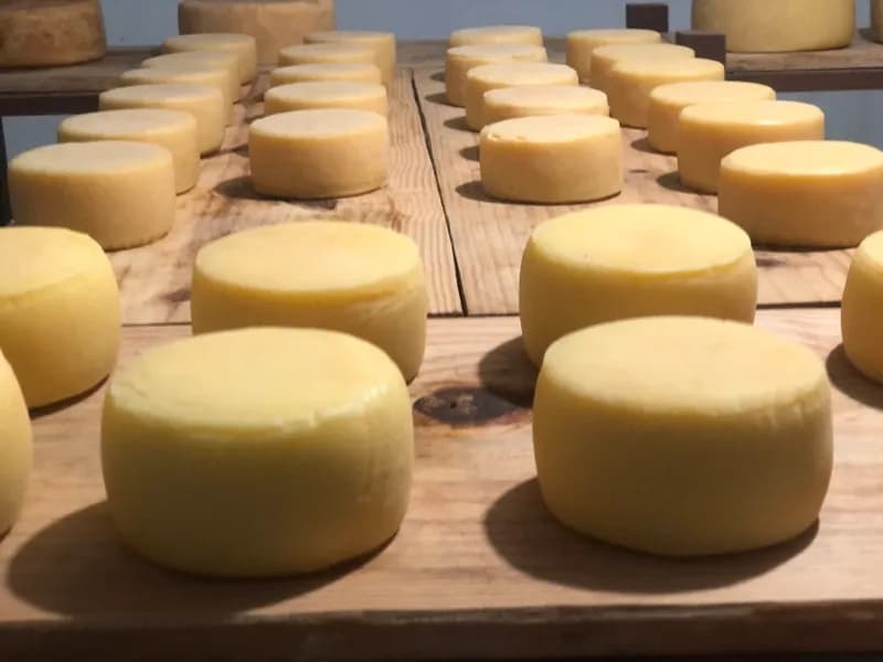 Sistema de produção