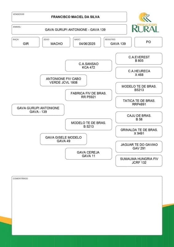 Lote de Gado Nelore e Gir Leiteiro PO - Miniatura 4