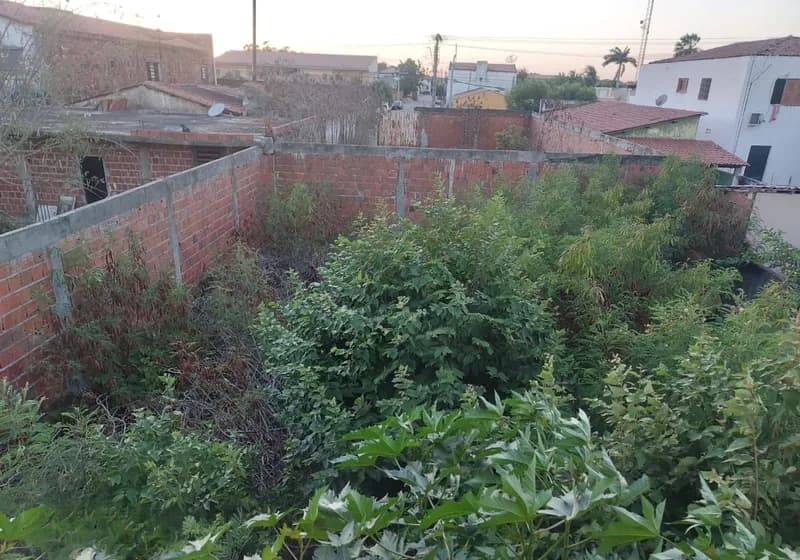 Imóvel Residencial à Venda localizado em Limoeiro do Norte - Miniatura 2
