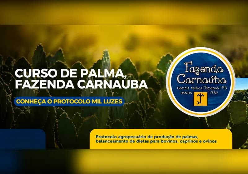 Curso de Palma